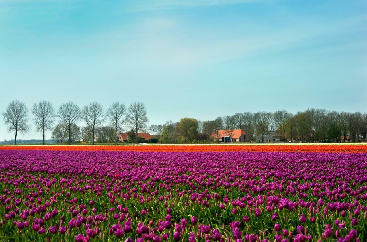 B&B De Strandhoeve Giethoorn Kültér fotó